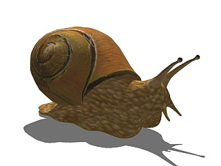 精品动物模型<em>(</em>37)蜗牛